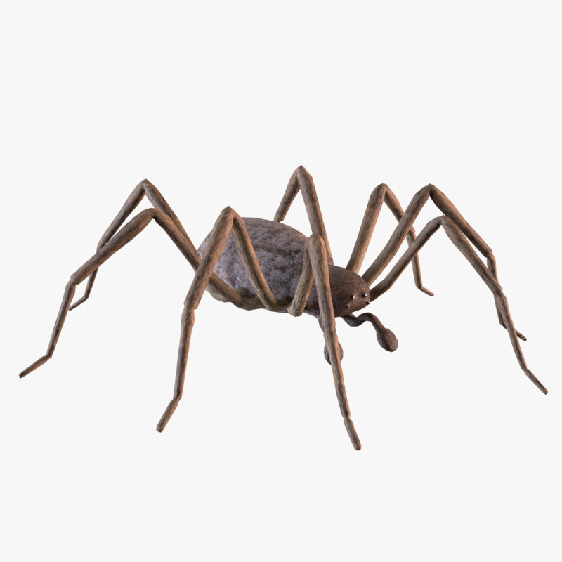 Crab spider 3Dモデル .c4d .max .obj .3ds .fbx .stl .blend 