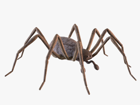 Crab spider 3D Model