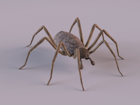 Crab spider 3Dモデル