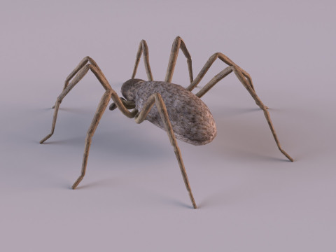 Crab spider 3Dモデル