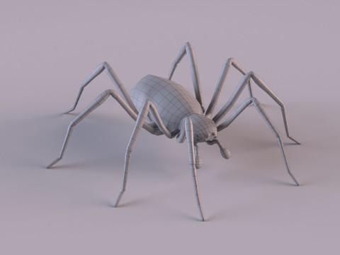Crab spider 3Dモデル
