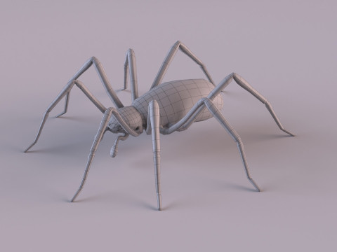 Crab spider 3Dモデル
