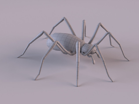 Crab spider 3Dモデル