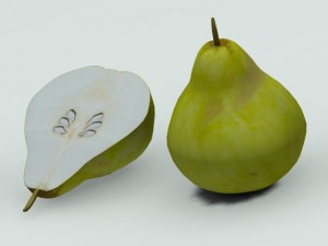 quince 3D 모델