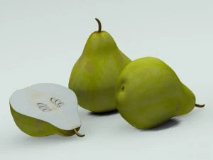 quince 3D Model