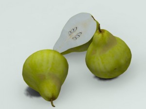 quince 3D Модель