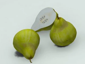 quince 3D Model