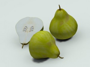 quince 3D Модель