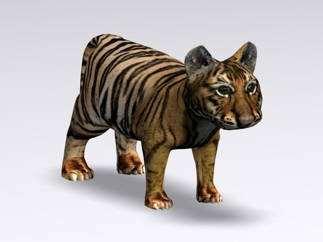 baby tiger 3D Model .c4d .max .obj .3ds .fbx .stl .blend 