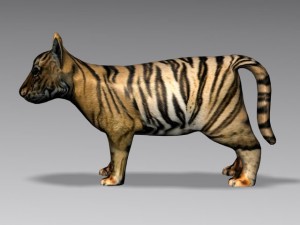 baby tiger 3D Model