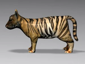 baby tiger 3D Model