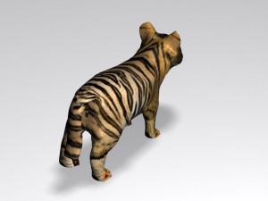 baby tiger 3D Model