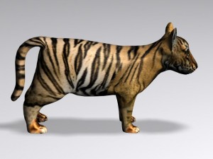 baby tiger 3D Model