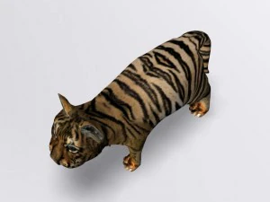 baby tiger 3D Model