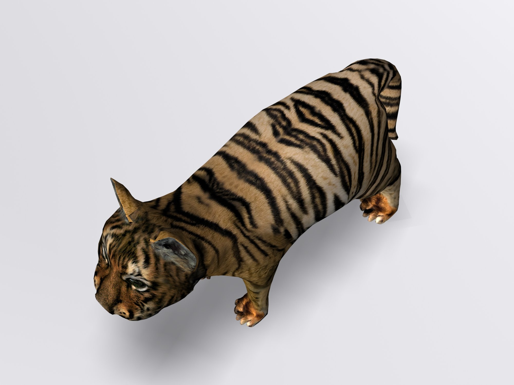 Cartoon Tiger White and Natural 3D Model $39 - .max .fbx .obj .3ds - Free3D