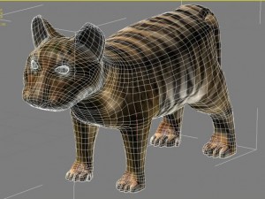 baby tiger 3D Model