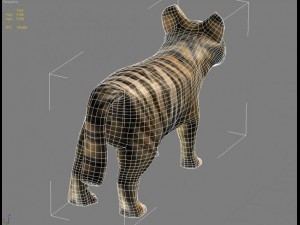 baby tiger 3D Model