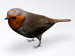 european robin 3D Model
