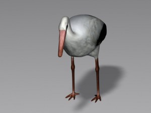 stork 3D 模型