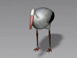 cicogna Modello 3D