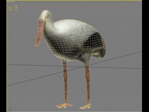 stork 3D 模型