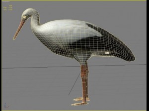 stork 3D 模型