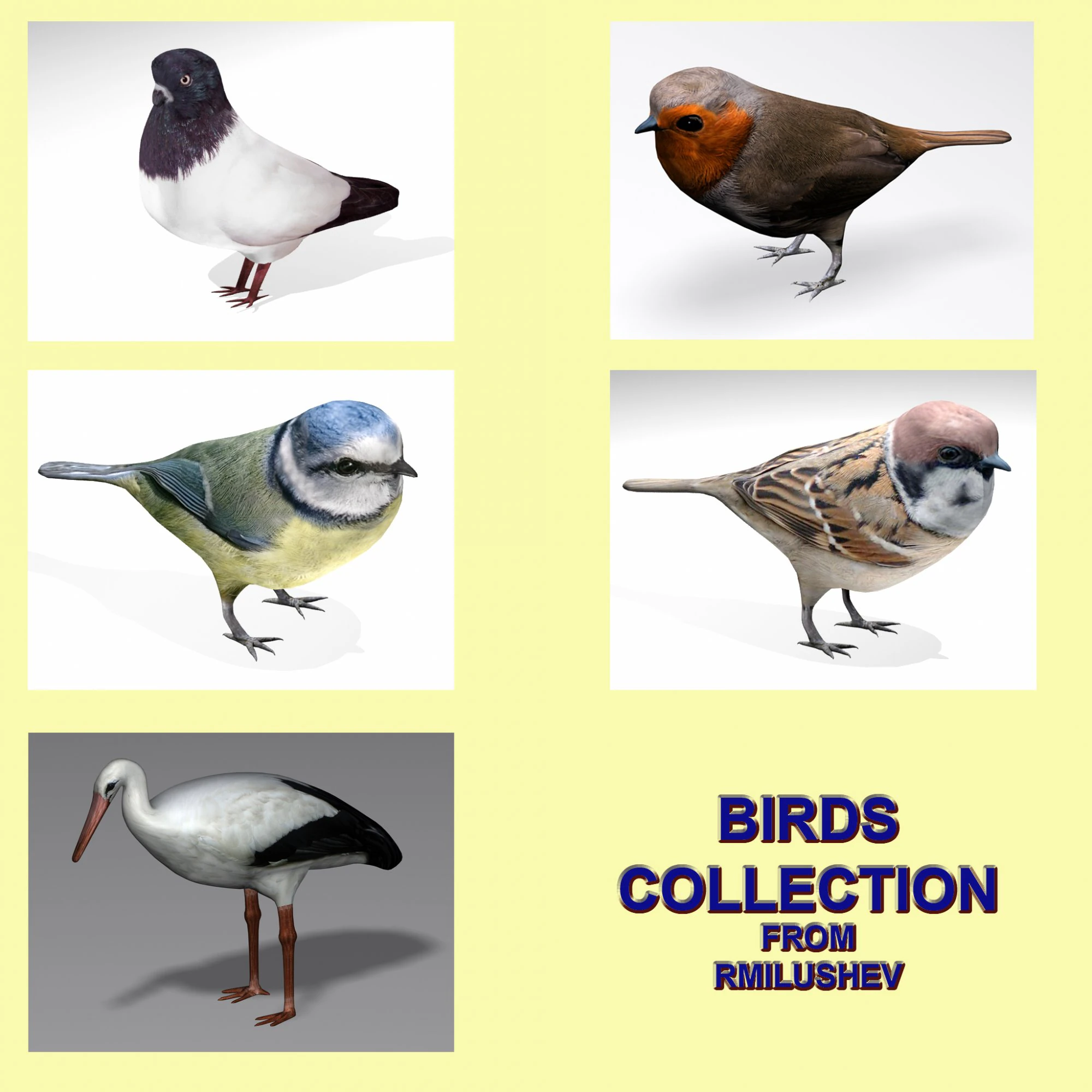 birds collection 3D Model .c4d .max .obj .3ds .fbx .stl .blend