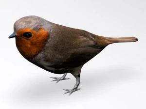 birds collection 3D Model