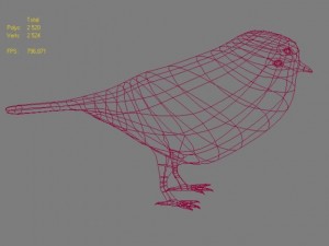 birds collection 3D Modell