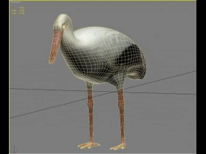 birds collection 3D Model