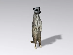 suricata Modelo 3D