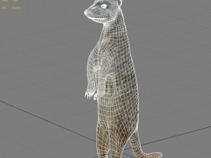 meerkat Modello 3D
