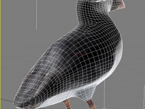 puffin 3D-Modell