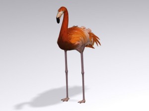flamingo 3D Модель