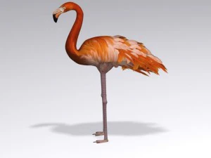 flamingo 3D Model