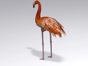 flamingo 3D Model