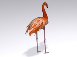 flamingo 3D Модель