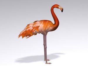 flamingo 3D Модель