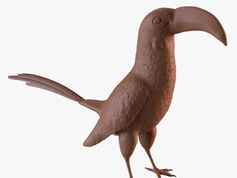 サイチョウ 3Dプリントモデル