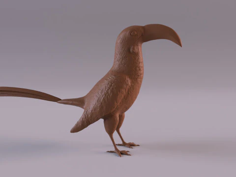 サイチョウ 3Dプリントモデル