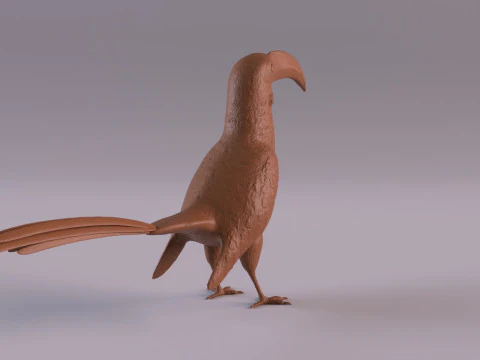 サイチョウ 3Dプリントモデル