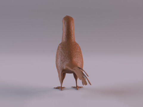 Hornbill 3D Принт Модель