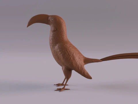 サイチョウ 3Dプリントモデル