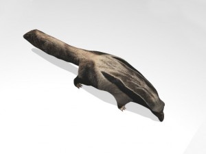 anteater Modèle 3D