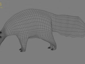 anteater Modèle 3D