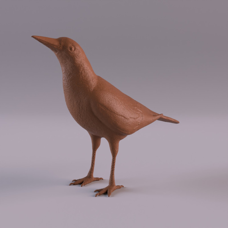 Magpie 3D प्रिंट मॉडल .c4d .max .obj .3ds .fbx .stl .blend 