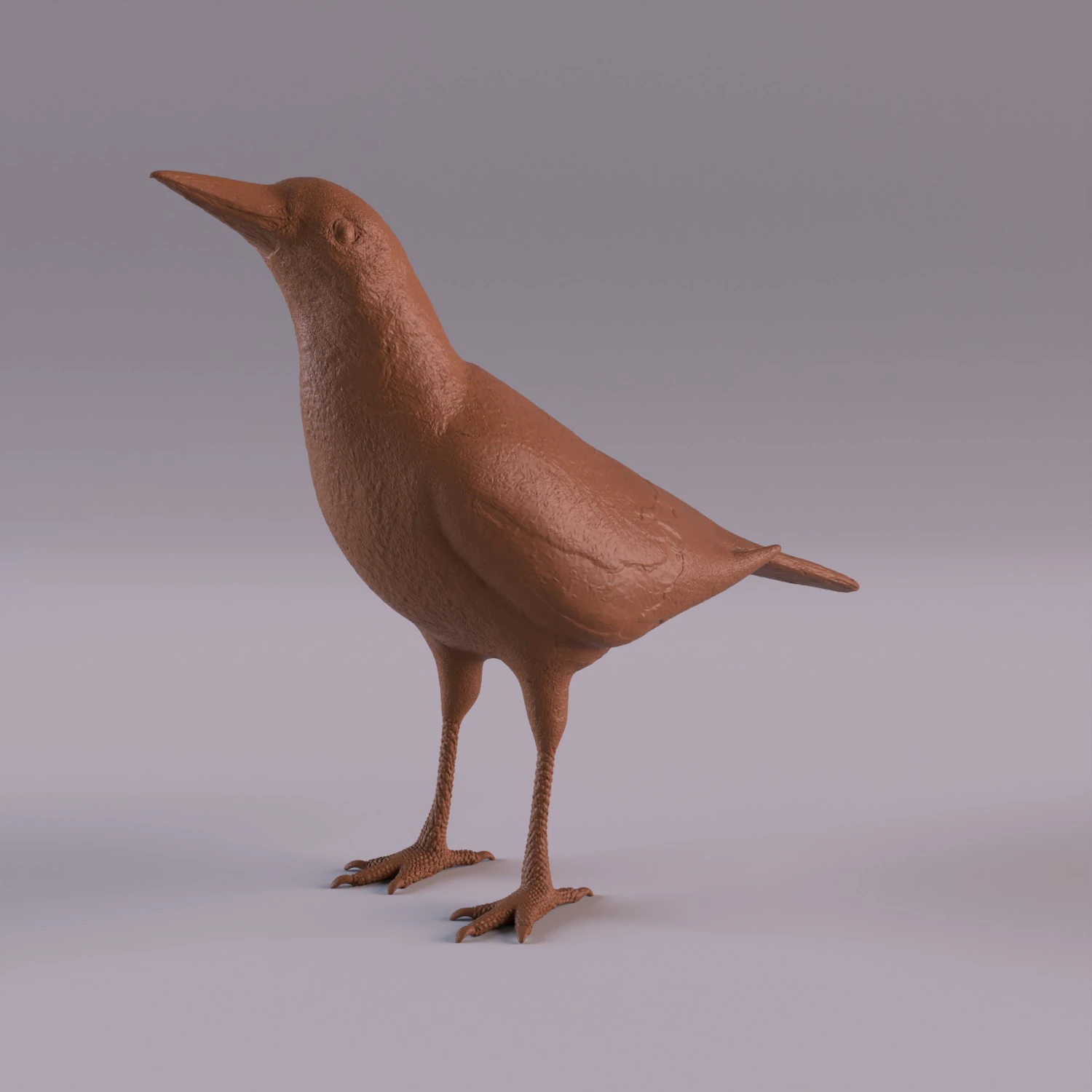 Magpie 3D Print Model .c4d .max .obj .3ds .fbx .stl .blend 