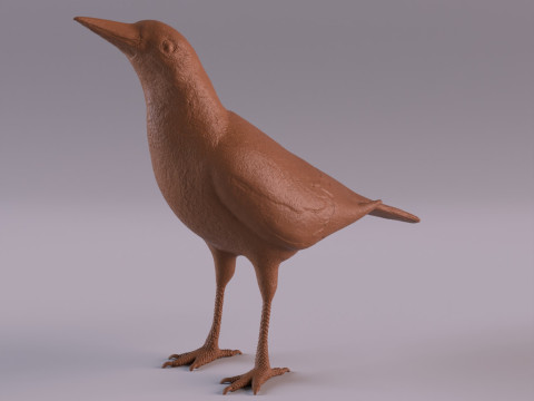 Magpie 3Dプリントモデル