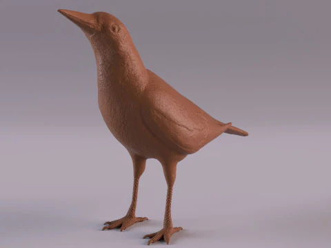 Magpie 3D Print Model