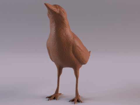 Magpie 3D प्रिंट मॉडल